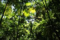 Parque das Aves (10)