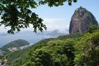 Auffahrt zum Zuckerhut (3)