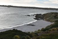 Falkland Inseln - Malvinas (16)