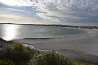 Falkland Inseln - Malvinas (19)