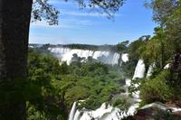 Iguazu Wasserfälle (5)