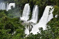 Iguazu Wasserfälle (7)