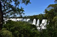 Iguazu Wasserfälle (21)