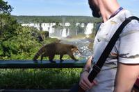 Iguazu Wasserfälle (26)