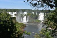 Iguazu Wasserfälle (29)
