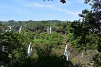 Iguazu Wasserfälle (32)