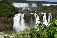 Iguazu Wasserfälle (33)