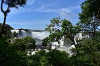 Iguazu Wasserfälle (35)