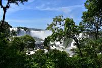 Iguazu Wasserfälle (36)