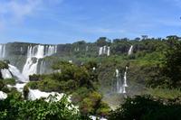 Iguazu Wasserfälle (37)