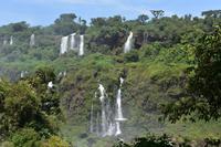 Iguazu Wasserfälle (38)