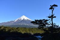 Saltos de Petrohue (3)
