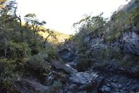 Saltos de Petrohue (7)