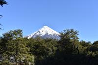 Saltos de Petrohue (8)