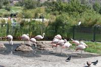 Santiago de Chile (7)