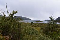 Ushuaia (19)