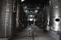 Weingut Chile - Casas del Bosque (3)