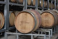 Weingut Chile - Casas del Bosque (4)