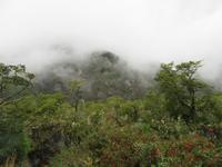 Ausflug in Puerto Montt