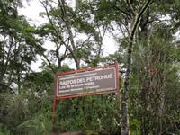 Petrohue Wasserfälle