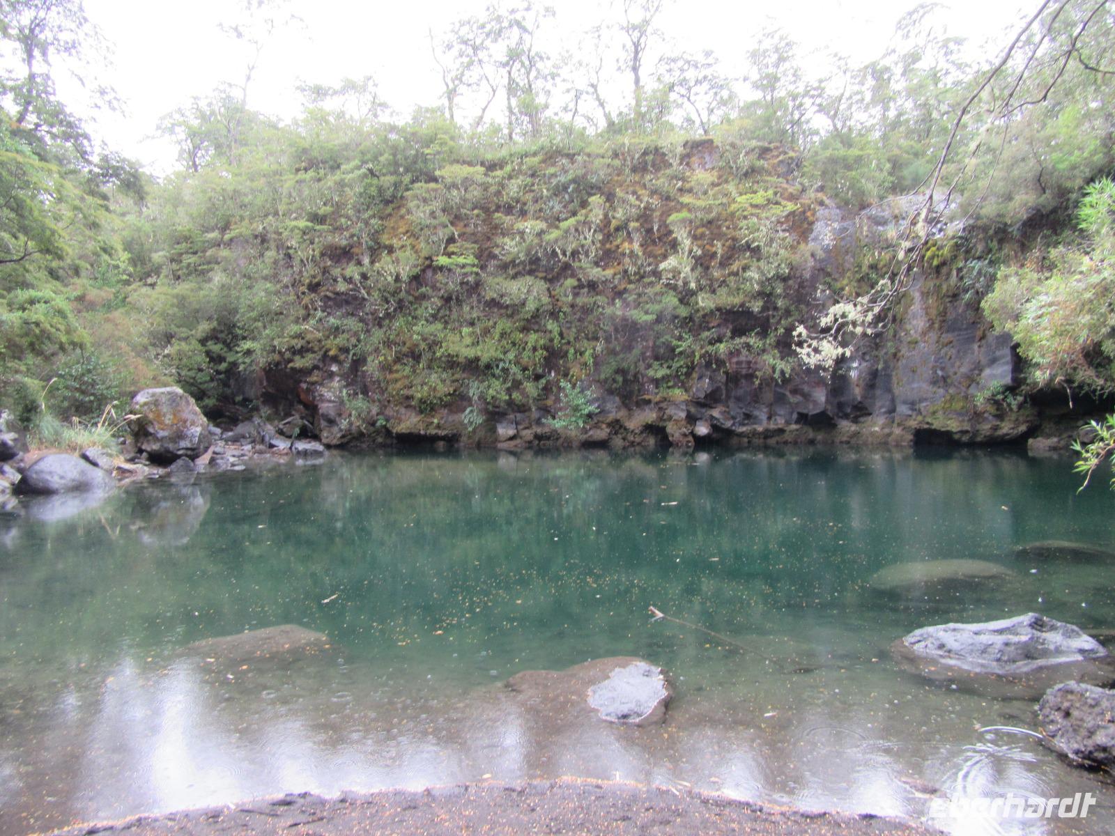 Vicente Nationalpark