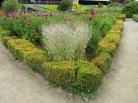 Gartenanlage Frutillar