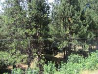 Mittagspause Coyhaique