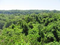Argentinische Seite der Iguazu-Wasserfälle