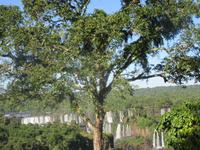 Brasilianische Seite der Iguazu Wasserfälle