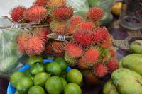 Paramaribo - Markt der Maronen