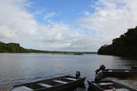 Iwokrama River Lodge