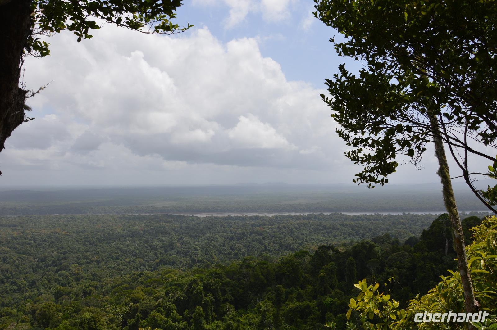 Iwokrama River Lodge - Blick vom Turtle Mountain auf den Regenwald
