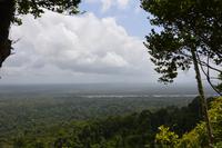 Iwokrama River Lodge - Blick vom Turtle Mountain auf den Regenwald
