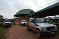 Iwokrama River Lodge - auf zum Tiere beobachten!