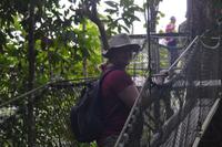 Studienreiseleiterin Wiebke Christ auf dem Canopy Walk