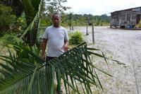 Powakka - Verwendung von Palmenblättern bei den Carrib