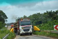 Abtransport von Regenwaldhölzern