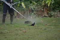 Berg en Dal - der Kleine Ani lässt sich nicht stören