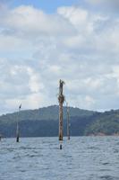 van Blommenstein Staudamm