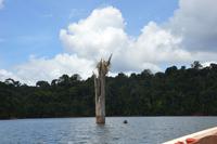 van Blommenstein Staudamm