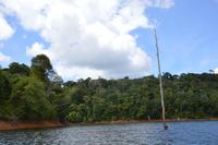 van Blommenstein Staudamm