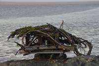 Cayenne - Abendstimmung am Strand