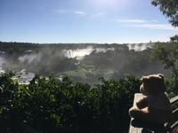 Iguazu-Wasserfälle (Brasilien) - Mein Eberhardt-Reisebär kann sich nicht losreißen