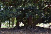 Stadtrundfahrt Buenos Aires - Rosendal