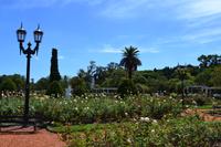 Stadtrundfahrt Buenos Aires - Rosendal