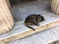 Stadtrundfahrt Buenos Aires - Friedhof in Recoleta