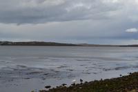 Falklandinseln - Spaziergang durch Stanley