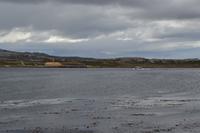 Falklandinseln - Spaziergang durch Stanley