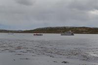 Falklandinseln - Spaziergang durch Stanley