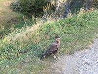 Ushuaia und Feuerland-Nationalpark